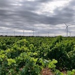 Cliquez pour agrandir Turbine 14507