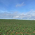 Windkraftanlage 14623