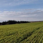 Cliquez pour agrandir Turbine 14931
