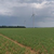 Windkraftanlage 14955