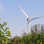 Turbine 15021