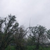 Click to increase the image size Aérogénérateur 1516