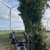 Haga clic para aumentar la imagen Turbina eólica 15413