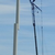 Turbine 15498