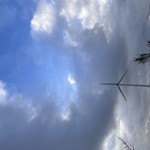 Click to increase the image size Turbine 15987