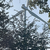 Click to increase the image size Aérogénérateur 16001