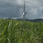 Turbine 16398