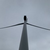 Turbine 16421