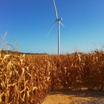 Turbine 16437
