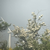 Click to increase the image size Turbine 16513