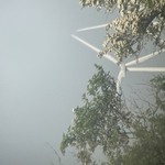 Turbine 16514