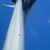 Turbine 16617