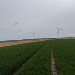 Turbine 16635