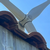 Zur Bildvergrößerung anklicken Windkraftanlage 16776