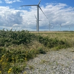 Turbine 16781