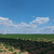 Turbine 16855