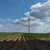 Turbine 16857