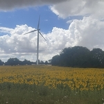 Haga clic para aumentar la imagen Turbine 16888