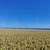 Zur Bildvergrößerung anklicken Windkraftanlage 16901