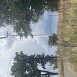 Turbine 16916