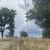 Zur Bildvergrößerung anklicken Windkraftanlage 16916