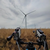 Zur Bildvergrößerung anklicken Windkraftanlage 16977