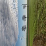 Click to increase the image size Turbine 17030