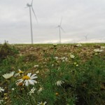 Click to increase the image size Aérogénérateur 17141