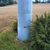 Turbine 17377