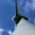 Haga clic para aumentar la imagen Turbina eólica 18134