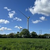 Click to increase the image size Turbine 18487