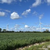 Click to increase the image size Turbine 18488