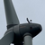 Haga clic para aumentar la imagen Turbina eólica 18521