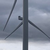 Haga clic para aumentar la imagen Turbina eólica 18547
