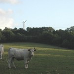 Click to increase the image size Turbine 1881