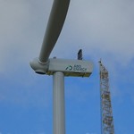 Turbine 19074