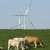 Windkraftanlage 2019
