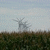 Click to increase the image size Turbine 2228