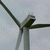 Turbina eólica 2637