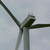 Click to increase the image size Turbine 2637