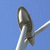 Turbina eólica 2963