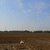 Click to increase the image size Aérogénérateur 3065