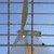 Click to increase the image size Aérogénérateur 3076