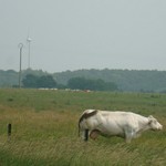 Click to increase the image size Turbine 3330