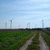 Windkraftanlage 3598