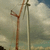 Windkraftanlage 3665