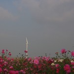 Click to increase the image size Turbine 4189