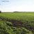 Click to increase the image size Turbine 4416