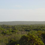 Click to increase the image size Turbine 484