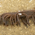 Click to increase the image size Aérogénérateur 4952